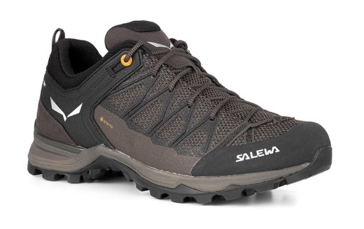 Salewa Wanderschuhe Mtn Trainer Lite GTX (Zustieg, wasserdicht) braun Herren
